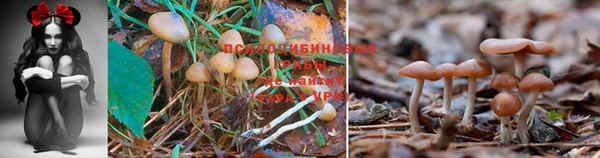 синтетический гашиш Богородск