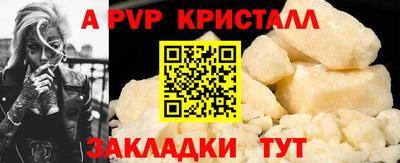 шишки Изобильный