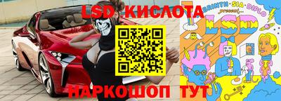 шишки Изобильный