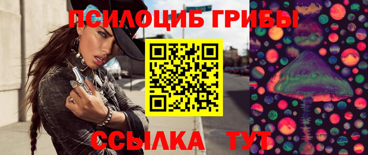 Псилоцибиновые грибы Psilocybine cubensis Арсеньев