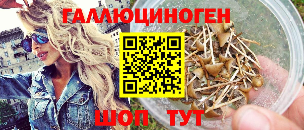 Арсеньев  где купить наркоту  Вход с VPN  Псилоцибиновые грибы Magic Shrooms 